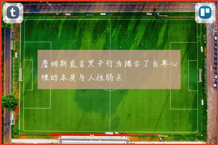 詹姆斯直言黑子行为揭示了自卑心理的本质与人性弱点